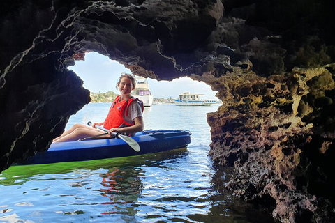 Cliffs And Caves Kayak Tour In Swan River - Accommodation Brisbane 3