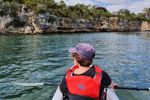 Cliffs And Caves Kayak Tour In Swan River - Accommodation Brisbane 1
