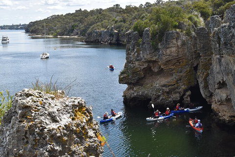 Cliffs And Caves Kayak Tour In Swan River - Accommodation Brisbane 2