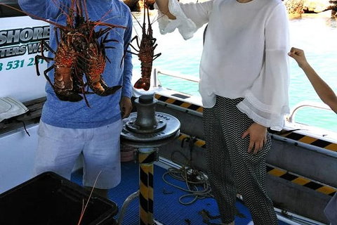 Lobster Fishing Tour At Geraldton - Accommodation Brisbane 1