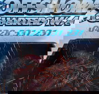 Lobster Fishing Tour at Geraldton - Accommodation Brisbane