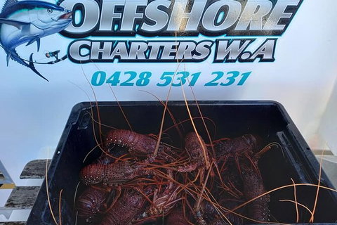 Lobster Fishing Tour At Geraldton - Accommodation Brisbane 0