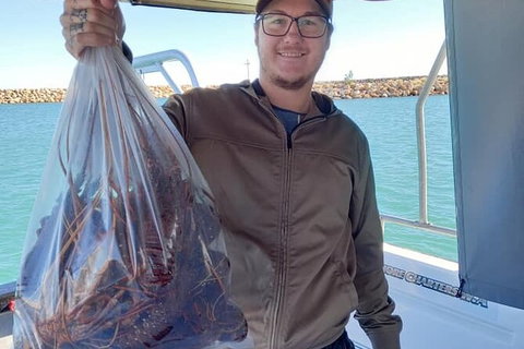 Lobster Fishing Tour At Geraldton - Accommodation Brisbane 7