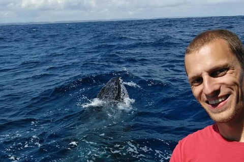 Whale Watching Boat Tour In Geraldton - Accommodation Brisbane 2