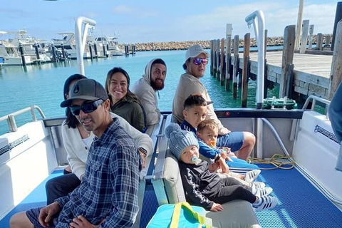 Whale Watching Boat Tour In Geraldton - Accommodation Brisbane 1