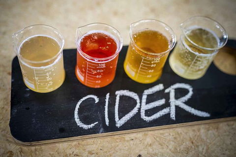 Bickley Valley Wine & Cider Tour - Premium Small Group Tour - Accommodation Brisbane 1