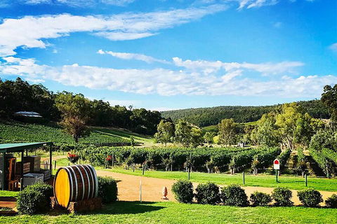Bickley Valley Wine & Cider Tour - Premium Small Group Tour - Accommodation Brisbane 0
