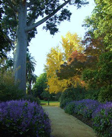 Albury Botanic Garden - Accommodation Brisbane 0