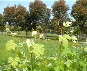 Pomborneit East VIC Accommodation Brisbane