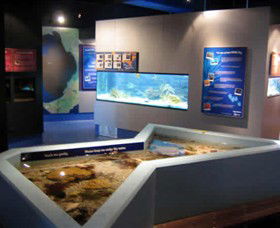 Marine And Freshwater Discovery Centre - Accommodation Brisbane 0