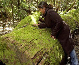 Attunga NSW Accommodation Brisbane