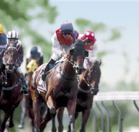 Colac Turf Club - Accommodation Brisbane