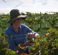 Kingsdale Wines - Accommodation Brisbane