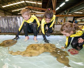 Dandenong South VIC Accommodation Brisbane