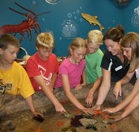 Naturaliste Marine Discovery Centre - Accommodation Brisbane