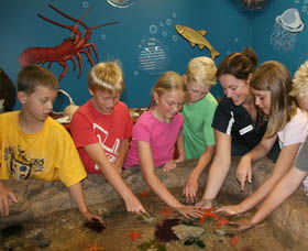 Naturaliste Marine Discovery Centre - Accommodation Brisbane 0