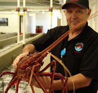 Lobster Shack - Accommodation Brisbane