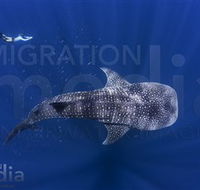 Migration Media - Accommodation Brisbane