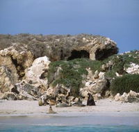 Jurien Bay Marine Park - Accommodation Brisbane