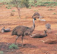 Hammond Park - Accommodation Brisbane