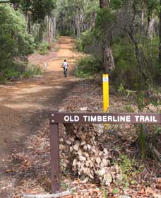 East Nannup WA Accommodation Brisbane