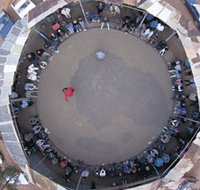 Two-Up School - Accommodation Brisbane