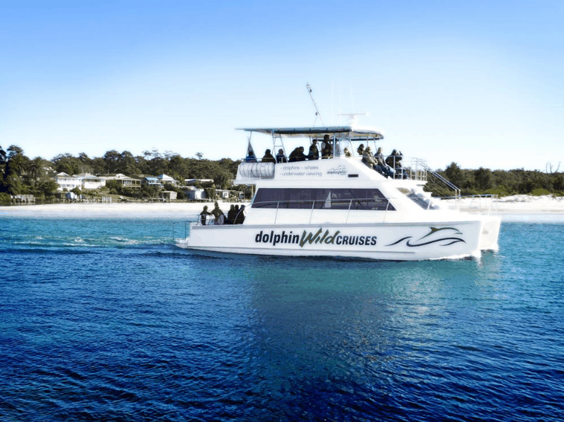 Dolphin Wild Cruises - Accommodation Brisbane 1
