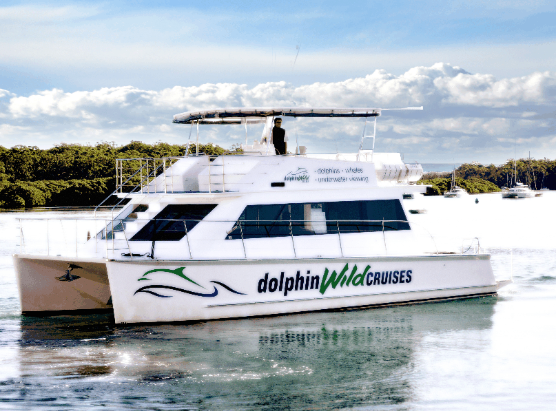 Dolphin Wild Cruises - Accommodation Brisbane 2