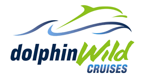 Dolphin Wild Cruises - Accommodation Brisbane 4
