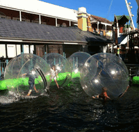 Aussie Waterballs - Accommodation Brisbane
