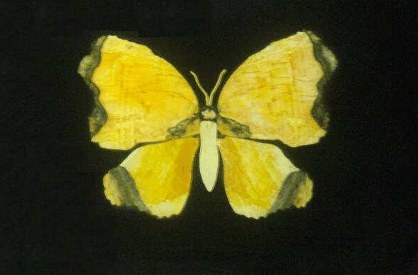 Inkerman QLD Accommodation Brisbane