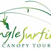 Jungle Surfing Canopy Tours and Jungle Adventures Nightwalks - Accommodation Brisbane