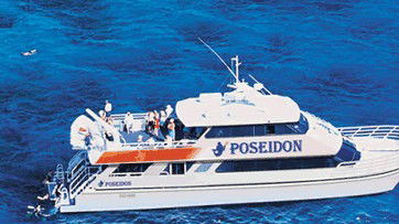 Poseidon Outer Reef Cruises - Accommodation Brisbane 4