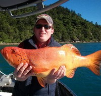 Gone Fishing by Coral Sea Fishing Charters Airlie Beach - Accommodation Brisbane