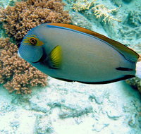 Illusions - Accommodation Brisbane