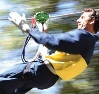 Adventure Parc - Accommodation Brisbane