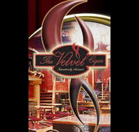 The Velvet Cigar - Accommodation Brisbane