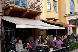 Dogs Bar - Accommodation Brisbane 0