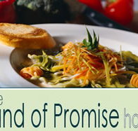 Land of Promise Hotel - Accommodation Brisbane