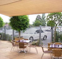 Coach  Horses - Accommodation Brisbane