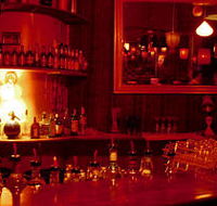 The Night Cat - Accommodation Brisbane