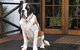 St Bernards Hotel - thumb 0