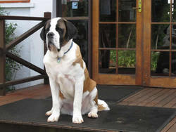 St Bernards Hotel - Accommodation Brisbane 0