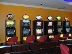 Wee Willie's Tavern - Accommodation Brisbane 3