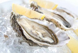 Seagulls Club - Accommodation Brisbane 2