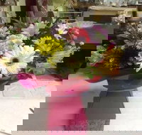 Bahia Restaurant - Accommodation Brisbane