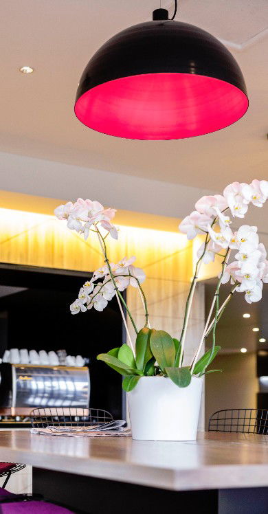 MRepublic Restaurant, Bar And Lounge - Accommodation Brisbane 4