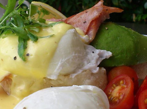 Vroom Bistro - Accommodation Brisbane 4