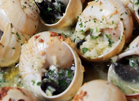 La Porte Verte - Accommodation Brisbane 1