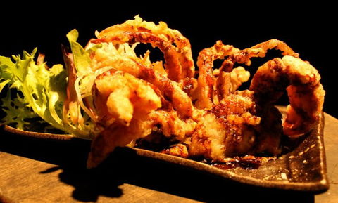 O'Sushi Japanese Restaurant - Accommodation Brisbane 3